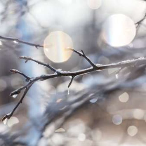 AdobeStock_120652916